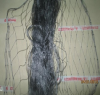 FISHING NET --- CHEAP and HIGH QUALITY