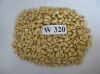 RAW CASHEW NUT/ CASHEW...