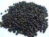 Vietnamese Black Pepper / White Pepper Wholesale