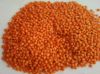 Red Whole Lentils Supp...