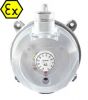 Explosion proof Differ...