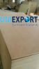 Sell 5/7/9/12/18mm construction plywood