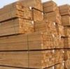 Long Hardwood Lumber and Sawn Lumber & Construction Timber , ntire Logs of Trees in Nature for Imported Wood Raw Materials , Lumber/Sawn Timber/Acacia/Hardwood/Wood