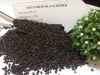 Vietnamese Black Pepper