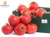 High Quality Tomatoes