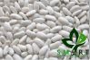 White Kidney Beans