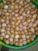 Fresh Chicken Table Eggs