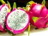 Dragon Fruit