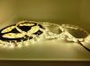 LED Strip, Waterproof, 5m 300 LED 3528 SMD 12V flexible light 60 led/m, white/white warm/blue/green/red/yellow