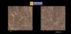 Ceramic Wall tiles and...