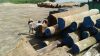 Cumaru - hardwood logs