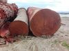Cumaru - hardwood logs