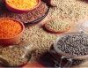 Lentils