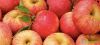 Gala apples