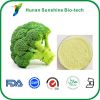 Sulforaphane CAS No 44...