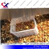 Industrial Pomegranate wine making Machine 2-3t/h pomegranate aril extractor pomegrante peeing machine