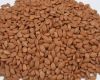 Bitter Apricot kernels...