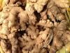 Fresh Ginger, Dried Gi...