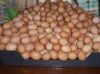 Farm Fresh Chicken Table Eggs, White Chicken Eggs, Brown Chicken Eggs