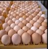 Farm Fresh Chicken Table Eggs, White Chicken Eggs, Brown Chicken Eggs