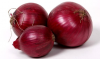 Red and White Onion, G...