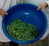 IQF Cut & Whole Okra