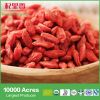Chinese dried fruit ma...