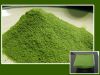 Moringa Bulk Leaf Leaves Powder Extract