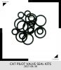 Pilot valve oil seal kits