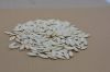 Pumpkin seeds - Gray V...