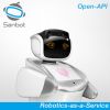 Sanbot Elf cloud-brain...