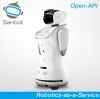 Sanbot Elf high-tech open API customized advanced humanoid robots