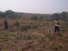 1000 ha Agricultural Farm Land in Angola