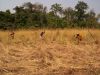 1000 ha Agricultural Farm Land in Angola