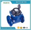 Younio Removable Dry Type Sensus Water Meter for Irrigation