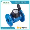 Younio Removable Dry Type Sensus Water Meter for Irrigation