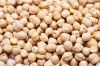 Dried Chickpeas Wholesale