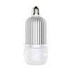 Icepipe LED Bulbs for Explosion Proof and Air Tight Fixtures