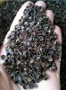 buckwheat hulls/Husks/...