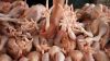 Processed frozen Chick...