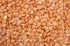 Red Lentils