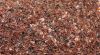 PET BOTTLE FLAKES
