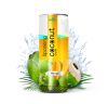 Sparkling Coconut Water Drink in 320ml Can