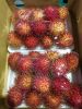 Fresh Java/ Thai Rambutan