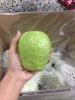 Fresh Guava