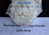 Testosterone Phenylpropionate (Steroids)