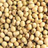 soya beans