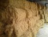 coir fiber