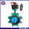 Cast Iron Body Stainless Steel Disc Butterfly Valve 