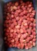 QHXN IQF Whole Strawberry- Frozen Strawberry-Grade A1